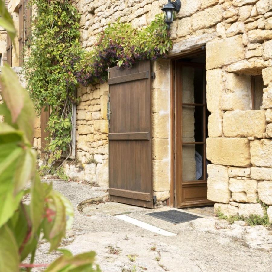 Domaine De Cantegrel - Gites De Charme Et Suite Troglodyte En Perigord Vitrac  Dış mekan fotoğraf