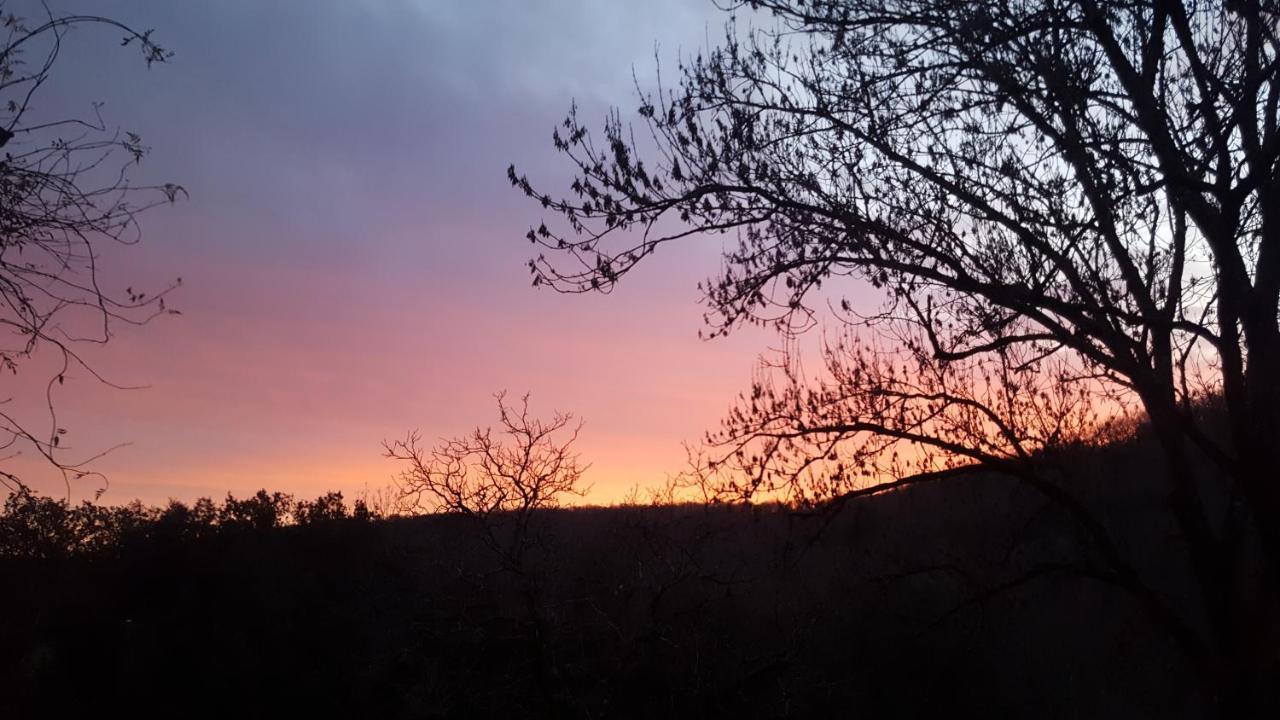 Domaine De Cantegrel - Gites De Charme Et Suite Troglodyte En Perigord Vitrac  Dış mekan fotoğraf