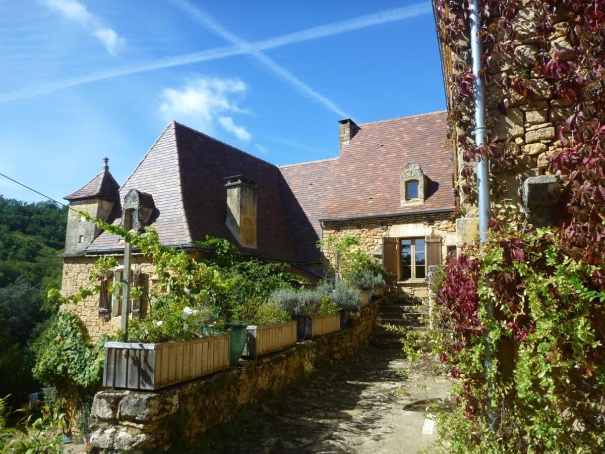 Domaine De Cantegrel - Gites De Charme Et Suite Troglodyte En Perigord Vitrac  Dış mekan fotoğraf