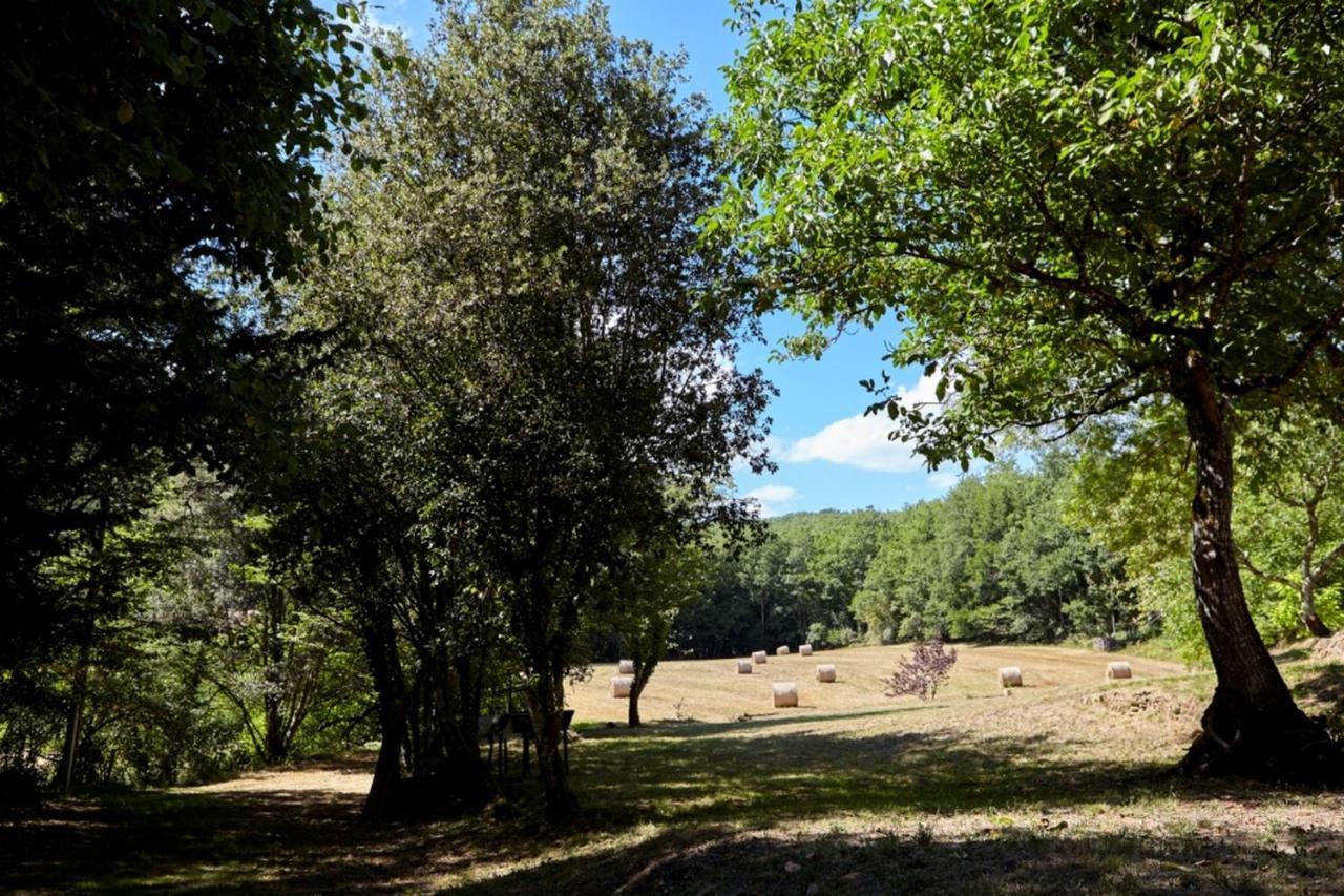 Domaine De Cantegrel - Gites De Charme Et Suite Troglodyte En Perigord Vitrac  Dış mekan fotoğraf