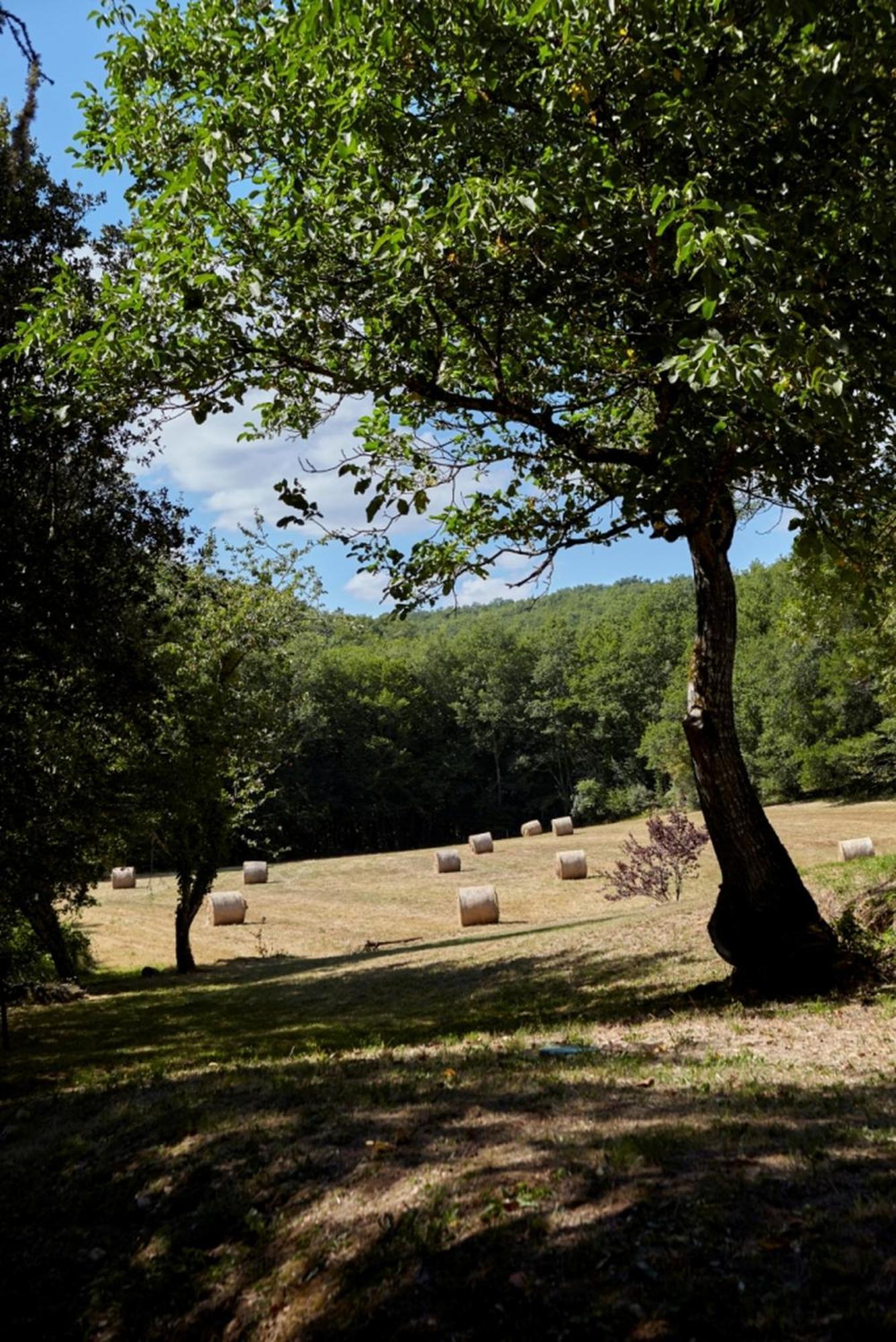Domaine De Cantegrel - Gites De Charme Et Suite Troglodyte En Perigord Vitrac  Dış mekan fotoğraf
